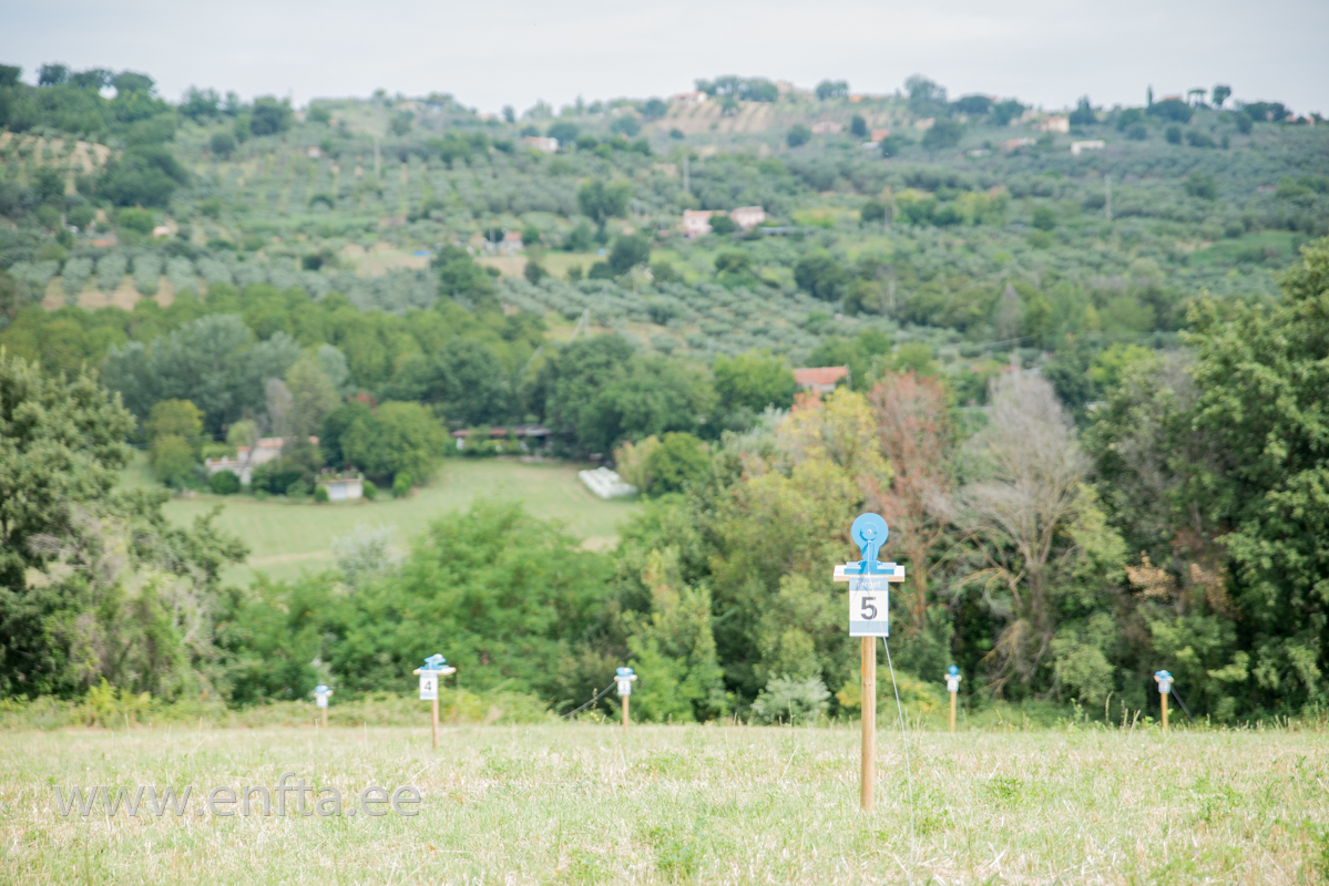 275 Blue targets. local